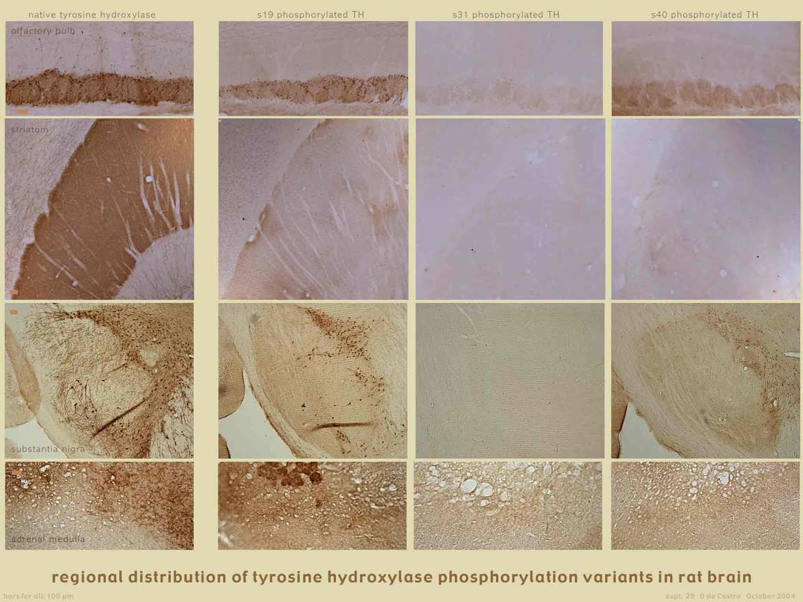 dt_29_TH_comparison