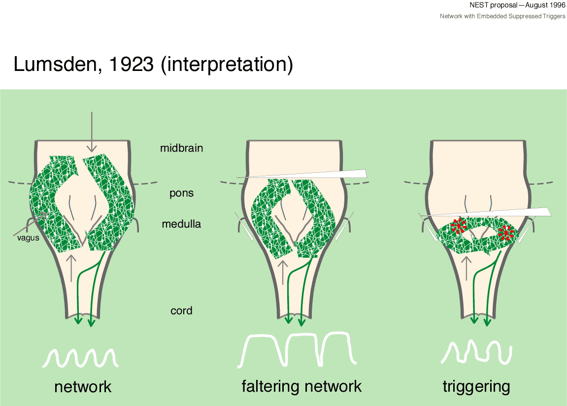 f2_ai5_-Lumsden-revisited